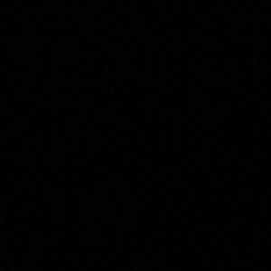 Meet your Posher, Shantrice